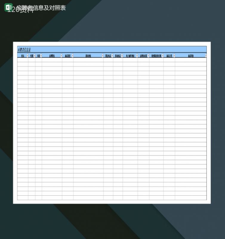 公司应聘者信息及对照表Excel模板-1