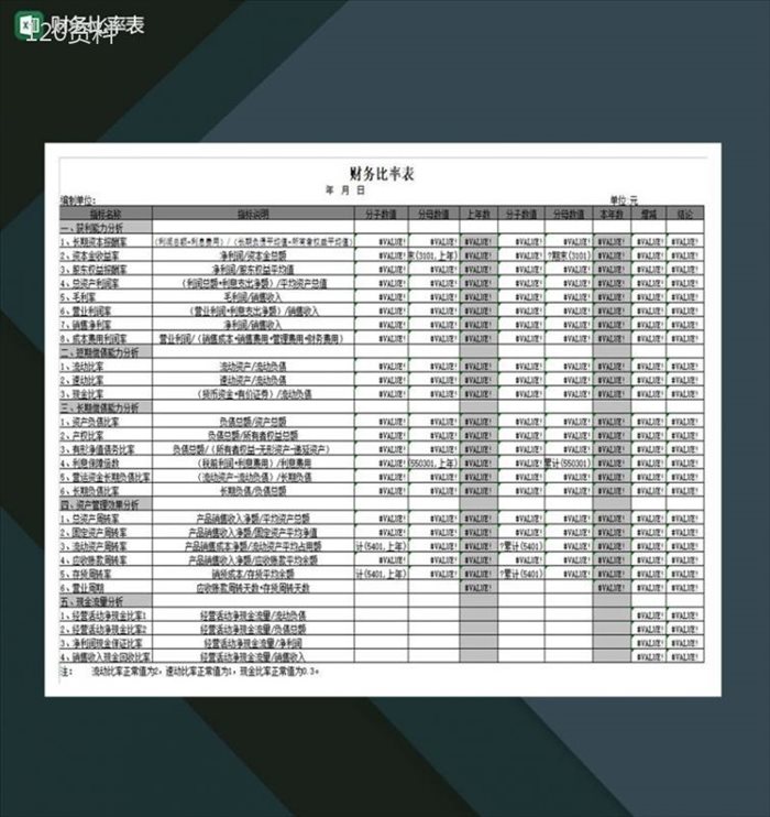 财务比率表Excel模板-1