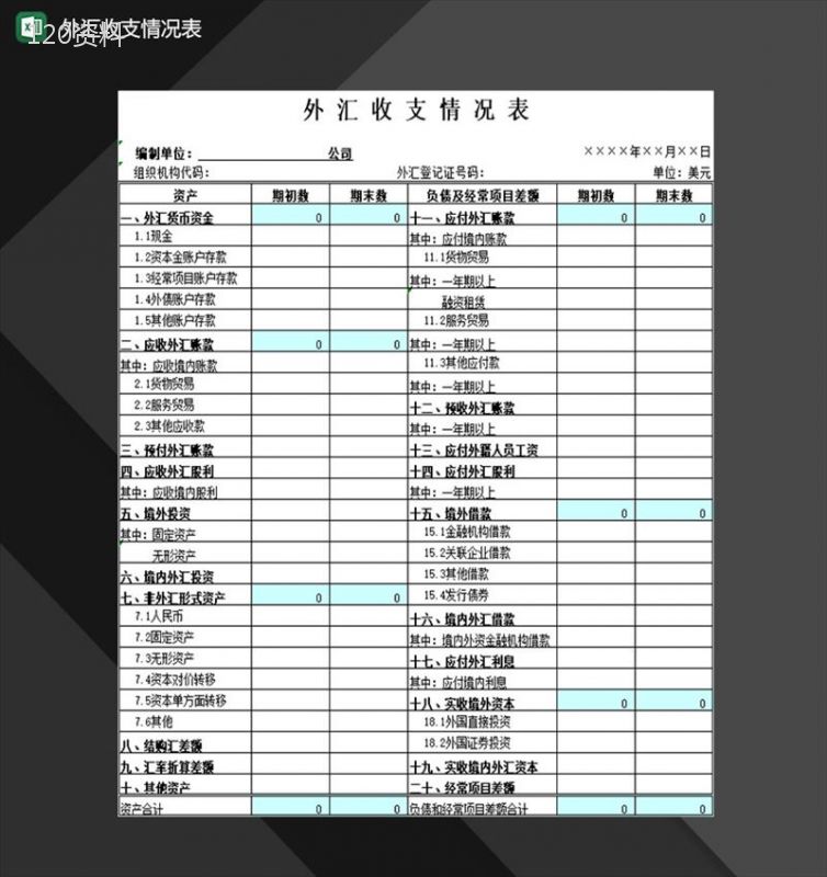 企业公司外汇收支情况记录表Excel模板-1