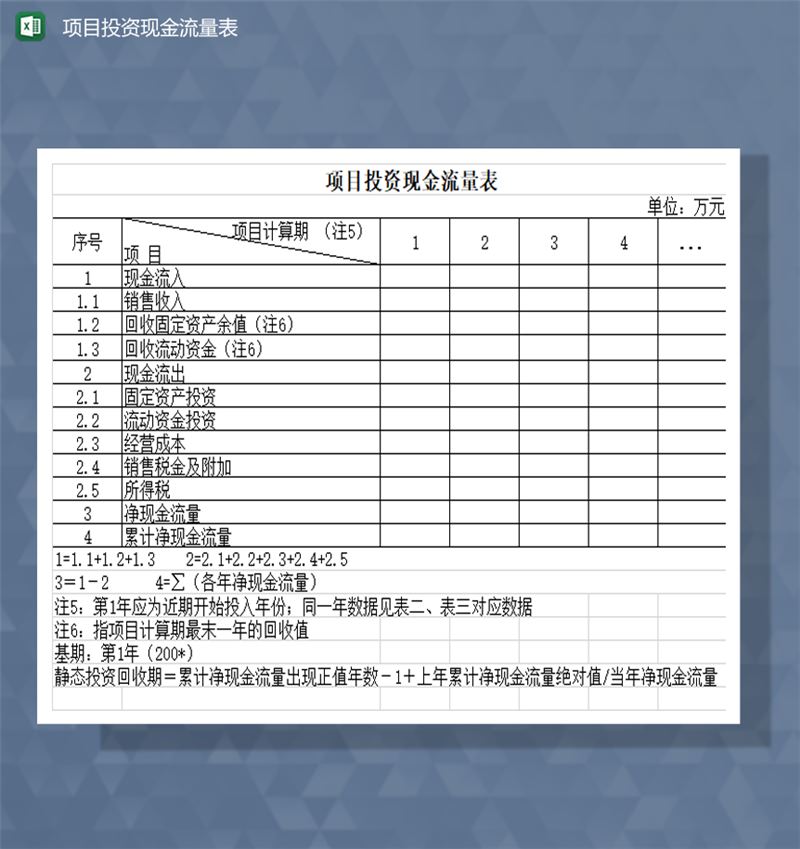 项目投资经营收支现金流量表Excel模板-1