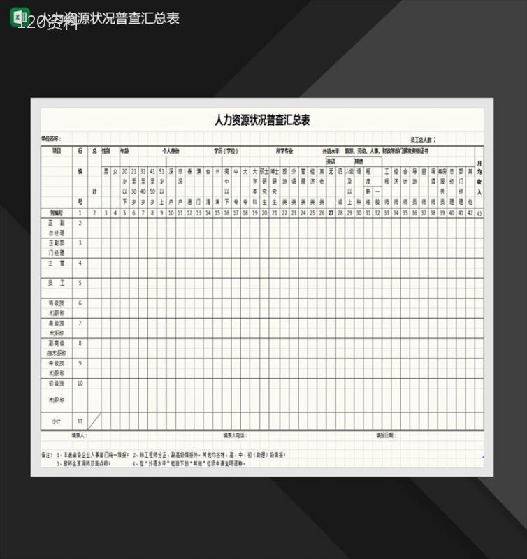 人力资源状况普查汇总表Excel模板-1