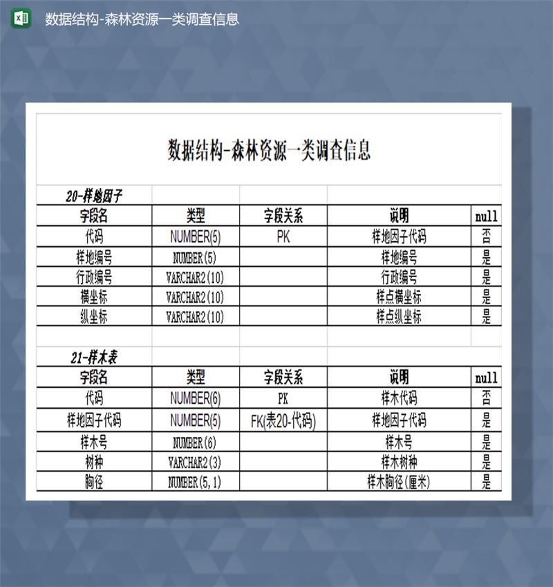 数据结构森林资源调查信息报表Excel模板-1