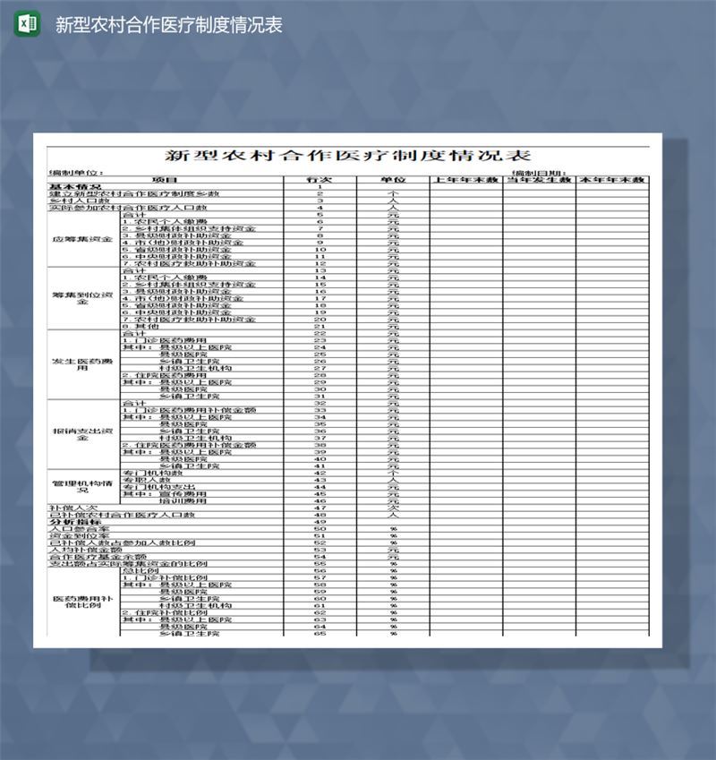 新型农村合作医疗制度项目资助资金统计情况表Excel模板-1