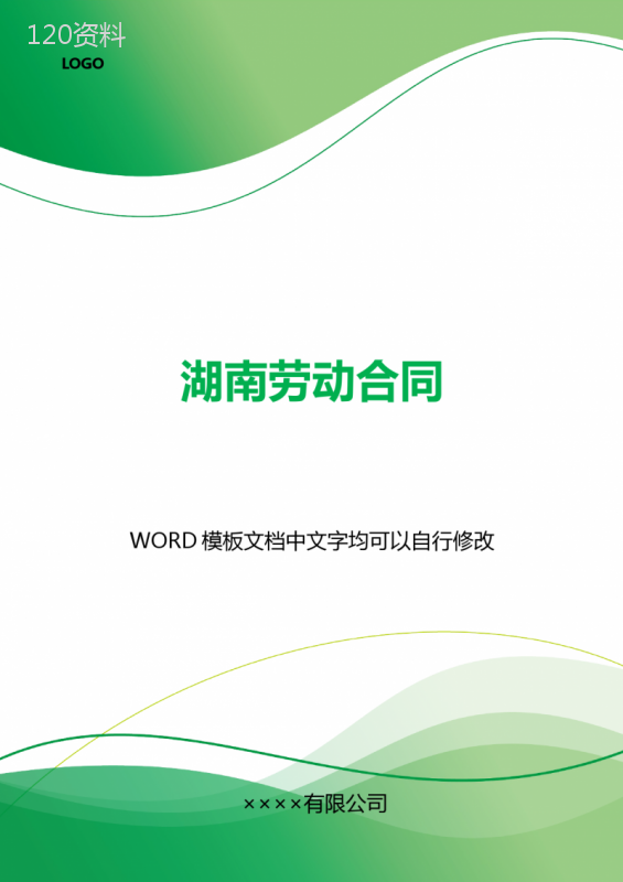 湖南劳动合同(标准版).docx