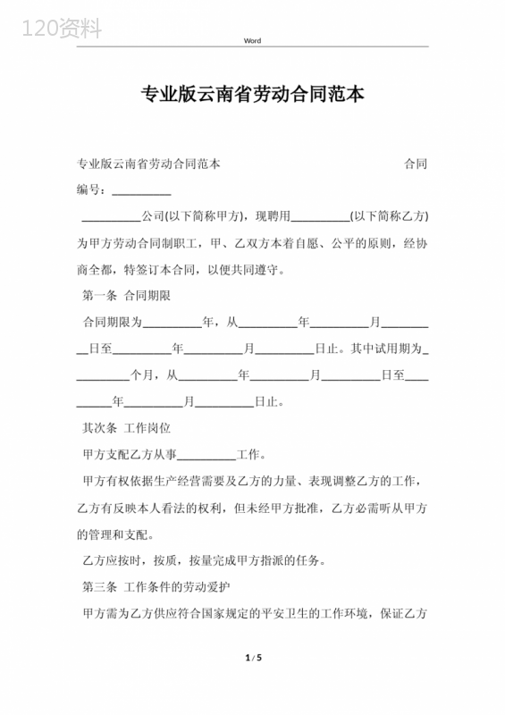 专业版云南省劳动合同范本