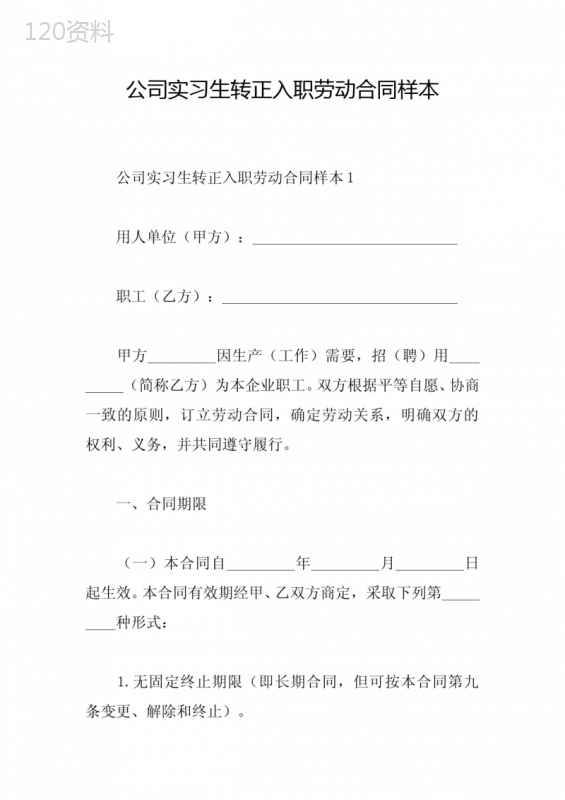 公司实习生转正入职劳动合同样本