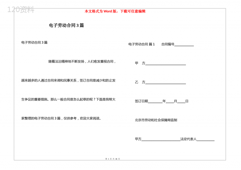 电子劳动合同3篇