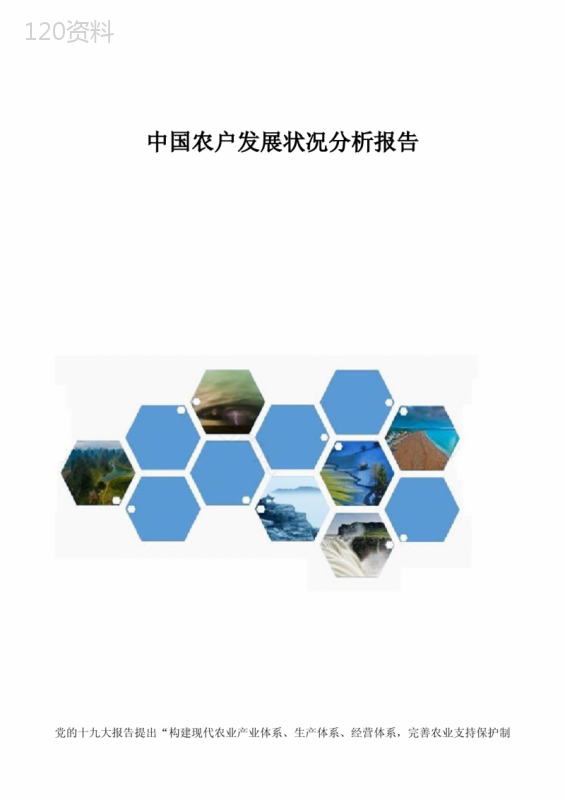 中国农户发展状况分析报告