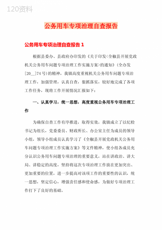 公务用车专项治理自查报告
