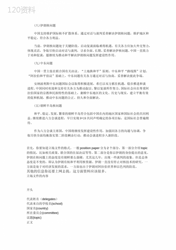 模拟联合国立场文件