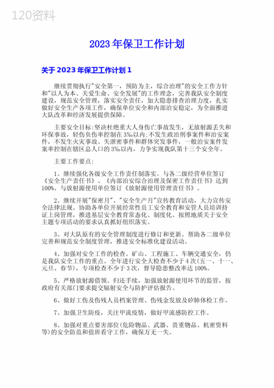 2023年保卫工作计划