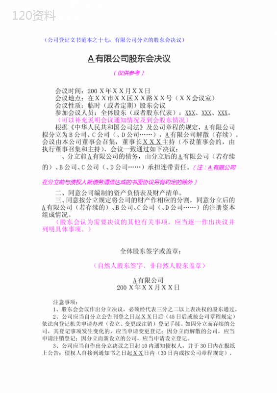 有限公司分立股东会决议