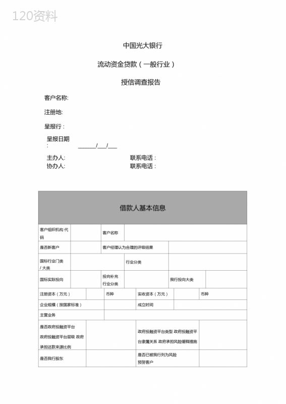 中国光大银行授信调查审查报告-(模版)