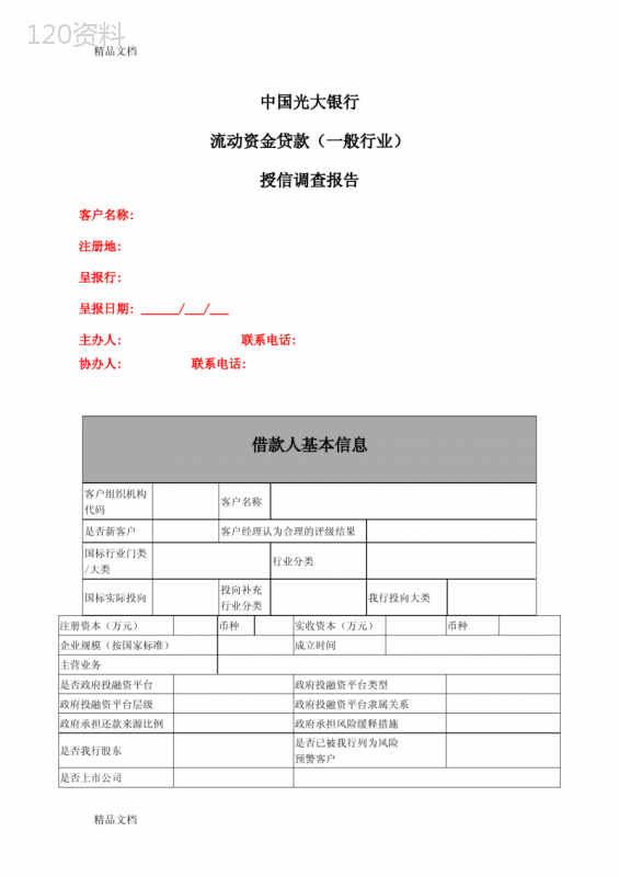 最新中国光大银行授信调查审查报告-(模版)资料