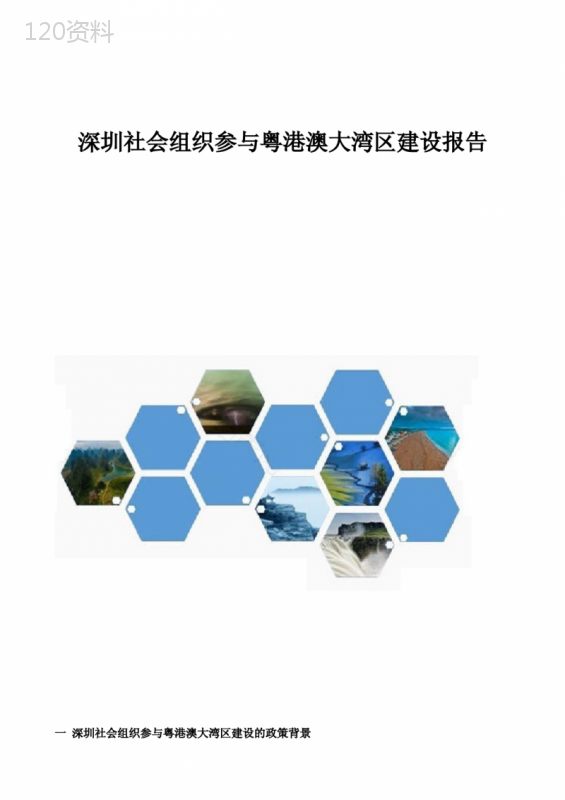 深圳社会组织参与粤港澳大湾区建设报告