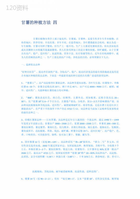 甘薯的种植方法-四