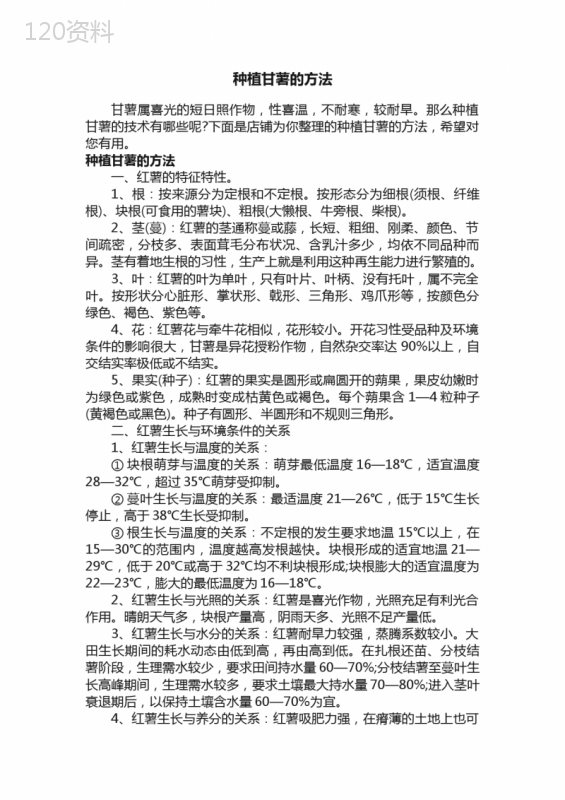 种植甘薯的方法