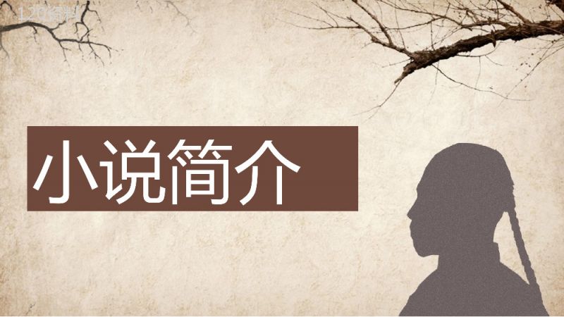 鲁迅代表作《阿Q正传》小说导读经典片段摘抄及鉴赏课件通用PPT模板.pptx