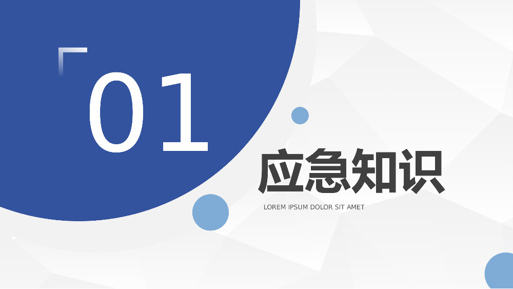 小学生应急救护安全小常识培训学校安全教育培训课件通用PPT模板.pptx