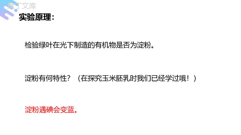 《绿色植物是生物圈中有机物的制造者》人教版七年级初一上册生物PPT课件.pptx