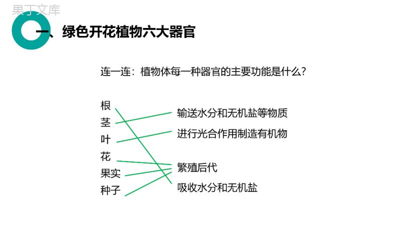 《植物体的结构层次》人教版七年级初一生物上册PPT课件.pptx