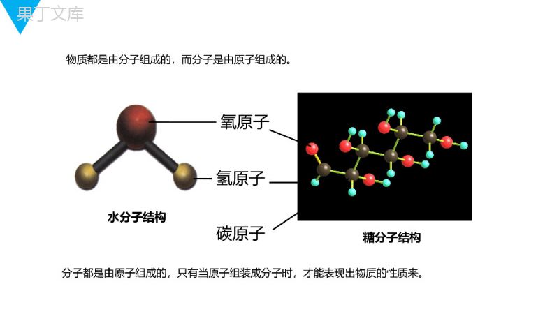 《细胞的生活》人教版七年级初一生物上册PPT课件.pptx