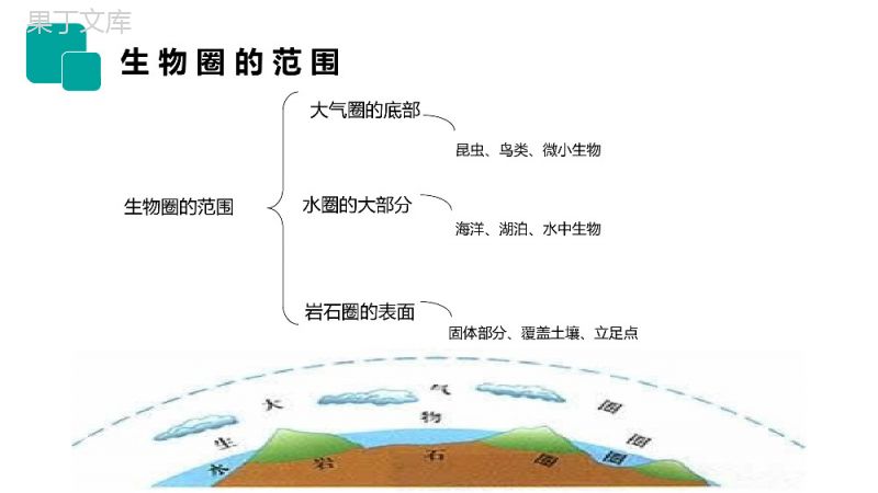 《生物圈是最大的生态系统》人教版七年级初一生物上册PPT课件.pptx