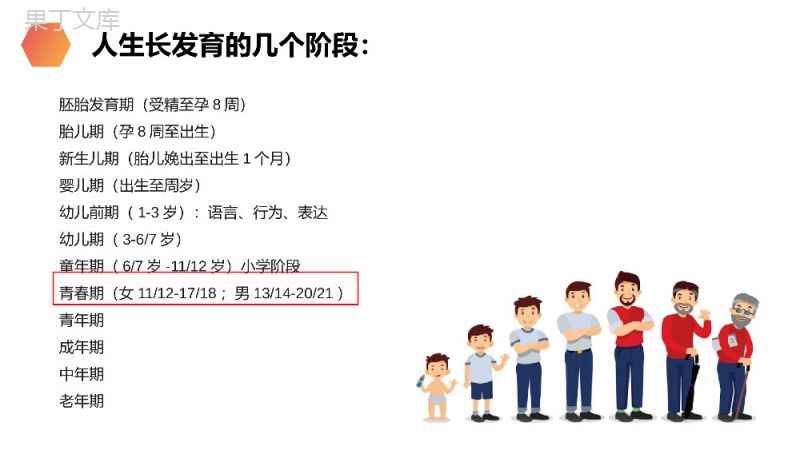 《青春期》人教版生物七年级初一下册PPT课件.pptx