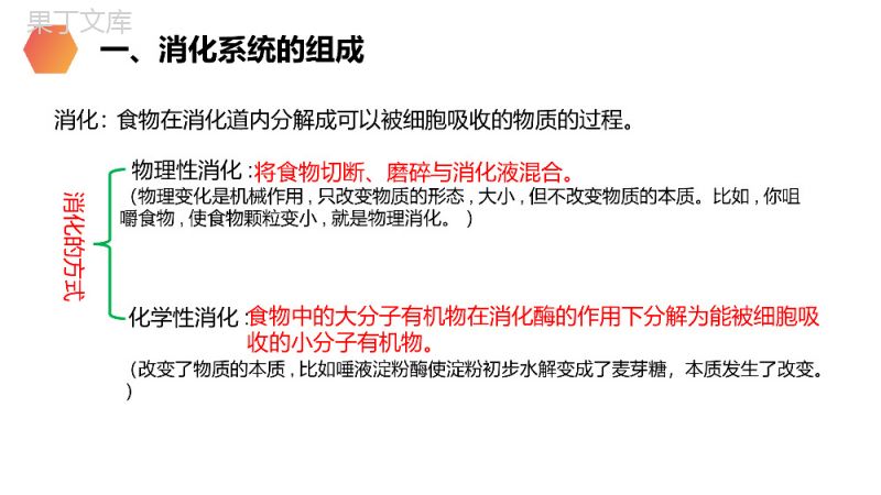 《消化和吸收》人教版生物七年级初一下册PPT课件.pptx