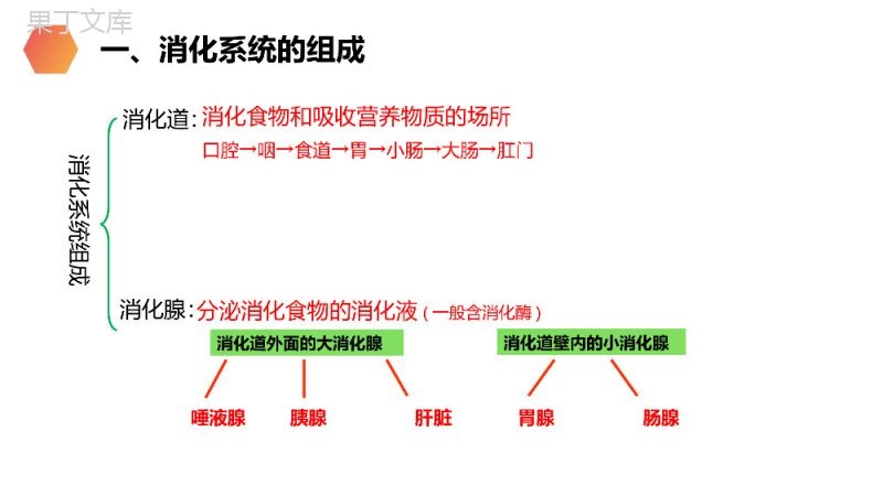 《消化和吸收》人教版生物七年级初一下册PPT课件.pptx