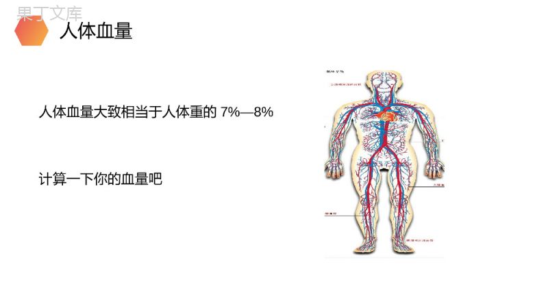 《输血与血型》人教版生物七年级初一下册PPT课件.pptx