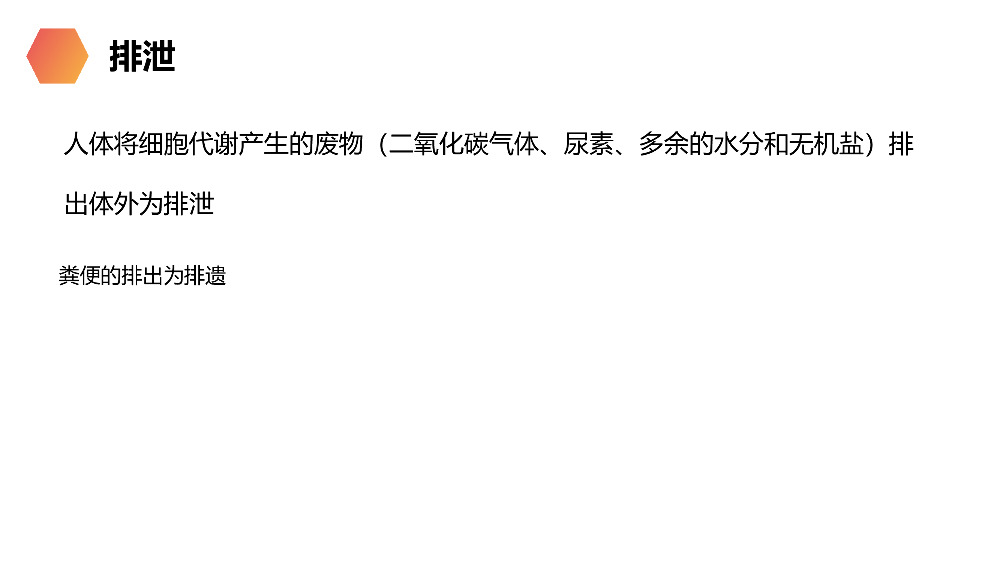 《人体废物的排出》人教版生物七年级初一下册PPT课件.pptx