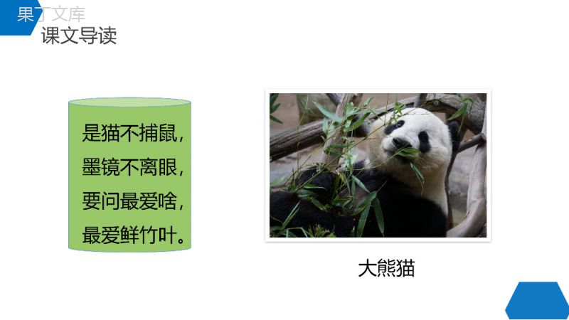 《国宝大熊猫》小学三年级语文下册第七单元精品PPT课件.pptx