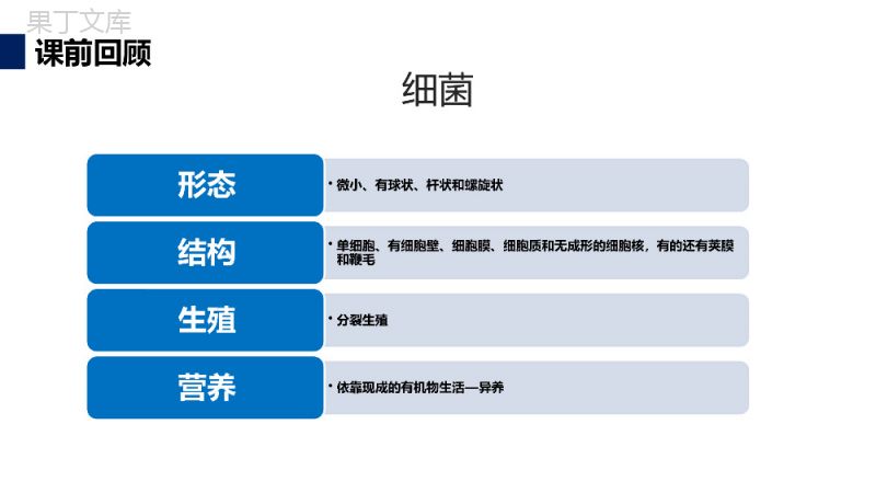 《真菌》八年级初二上册PPT课件（第5.4.3课时）.pptx