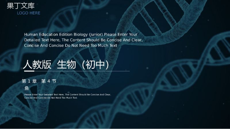 《鱼》八年级初二上册生物PPT课件（第5.1.4课时）.pptx