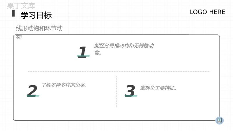 《鱼》八年级初二上册生物PPT课件（第5.1.4课时）.pptx