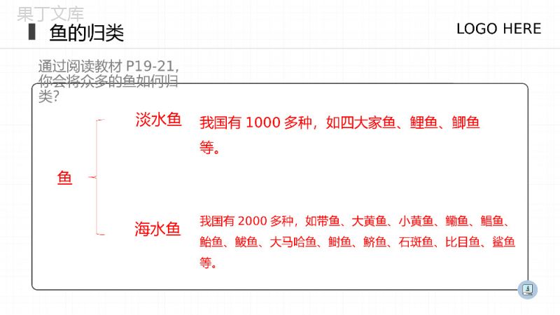 《鱼》八年级初二上册生物PPT课件（第5.1.4课时）.pptx