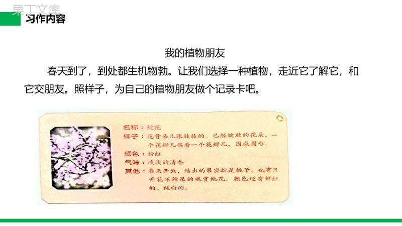 《习作——我的植物朋友》小学三年级语文下册第一单元精品PPT课件.pptx