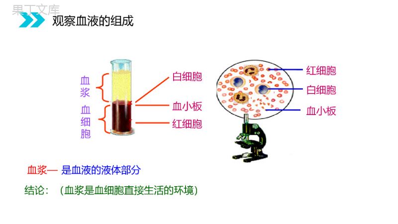 《细胞生活的环境》人教版高二生物必修三PPT课件.pptx