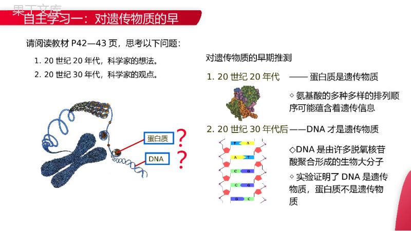 《DNA是主要的遗传物质》高一下册生物必修二PPT课件（第3.1课时）.pptx