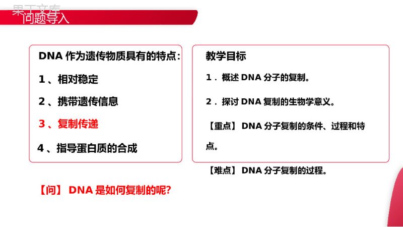 《DNA的复制》高一下册生物必修二PPT课件（第3.3课时）.pptx