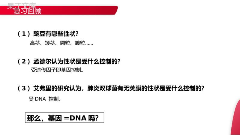 《基因是有遗传效应的DNA片段》高一下册生物必修二PPT课件（第3.4课时）.pptx