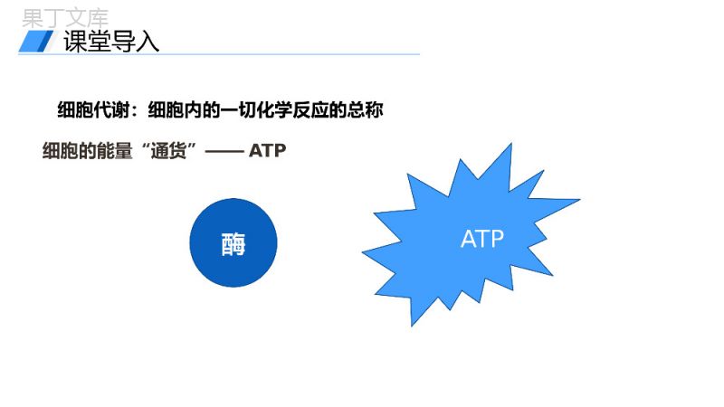《细胞的能量通货（ATP）》人教版必修高一生物PPT课件.pptx