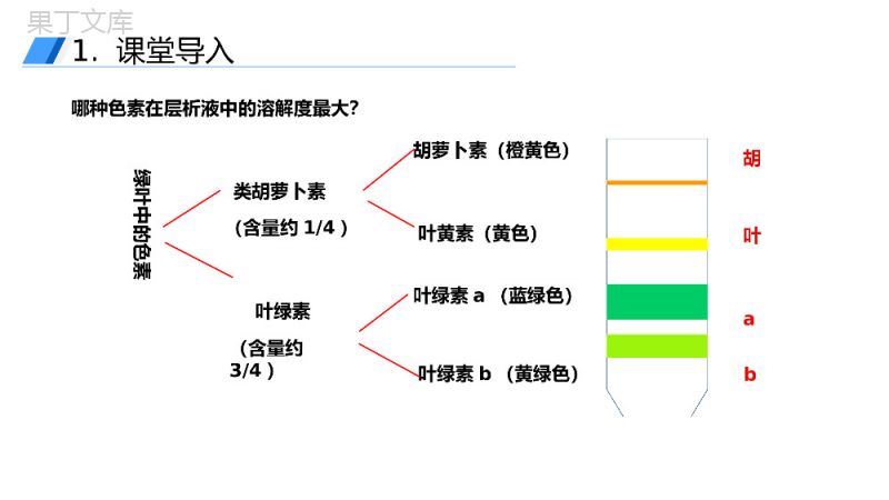 《光合作用的原理和应用》人教版必修高一生物PPT课件.pptx