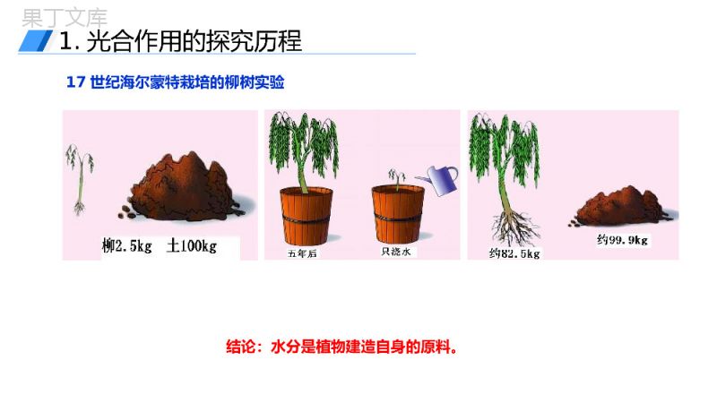 《光合作用的原理和应用》人教版必修高一生物PPT课件.pptx