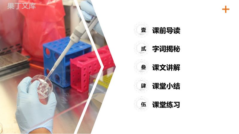 《习作我做了一项小实验》小学三年级语文下册第四单元精品PPT课件.pptx