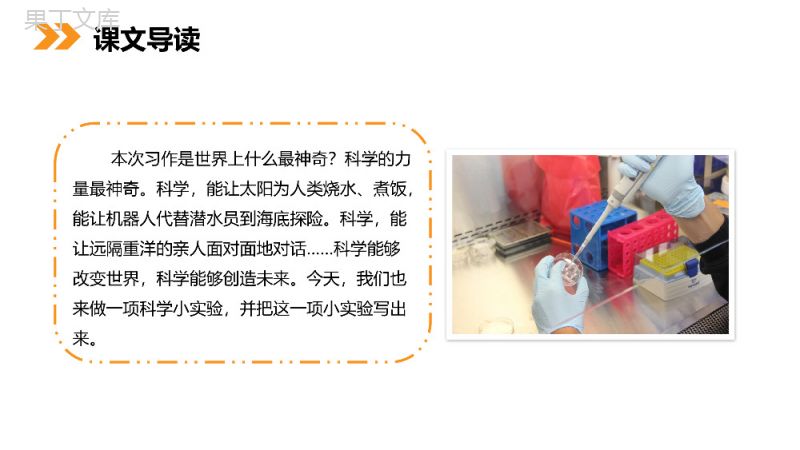 《习作我做了一项小实验》小学三年级语文下册第四单元精品PPT课件.pptx