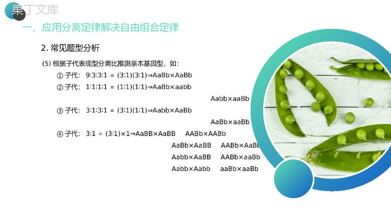 《豌豆杂交实验》高一下册生物必修二PPT课件（第1.2课时）.pptx