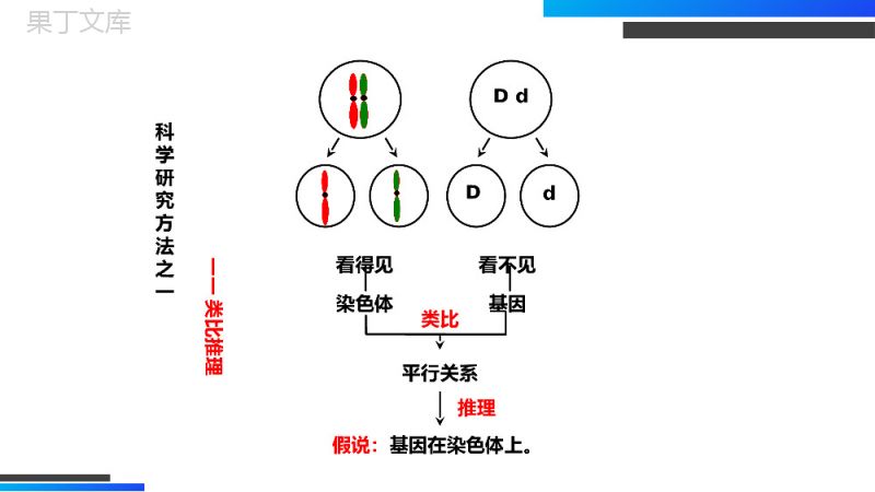 《基因在染色体上》高一下册生物必修二PPT课件（第2.2课时）.pptx