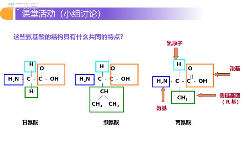 《生命活动的主要承担者（蛋白质）》人教版必修高一生物PPT课件.pptx